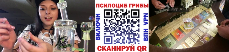 магазин  наркотиков  Киров  Псилоцибиновые грибы Cubensis 